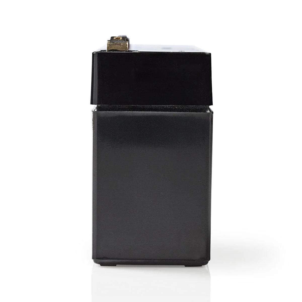 Miniatuur 2