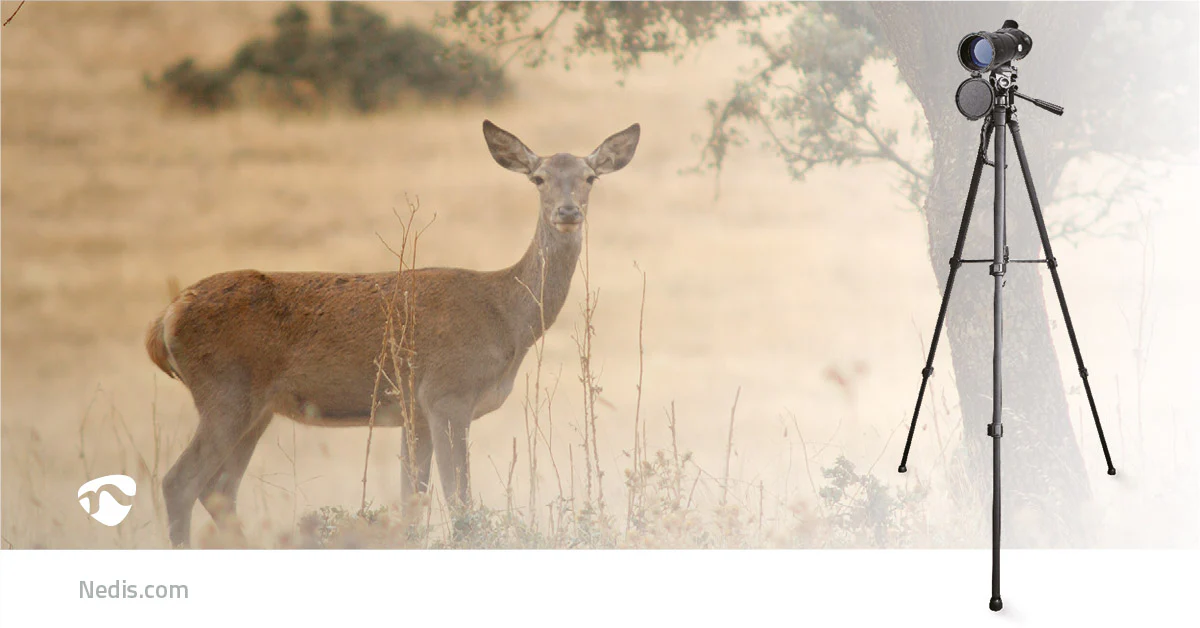 Productafbeelding 18